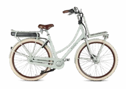 El Cykel Daily Dutch Prestige-E 7 Gear Shadow Grøn