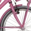 Alpina V Gaffel 20 Last M Fuchsia Pink Med Matt 1 Alpina V Gaffel 20 Last M Fuchsia Pink Med Matt -Cykel Forretning A209120005x1534.w1200