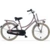 Alpina Cargo Pigecykel 22 Tommer Alu Ramme Rose Mat 1 Alpina Cargo Pigecykel 22 Tommer Alu Ramme Rose Mat -Cykel Forretning Alpina Cargo pigecykel 20 tommer Alu ramme rose mat 1.w1200