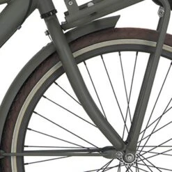 Cortina V Fork 24 U4 M RB Stone Bridge Matt