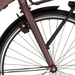 Cortina V Fork E-Common Sort Red Matt Matt