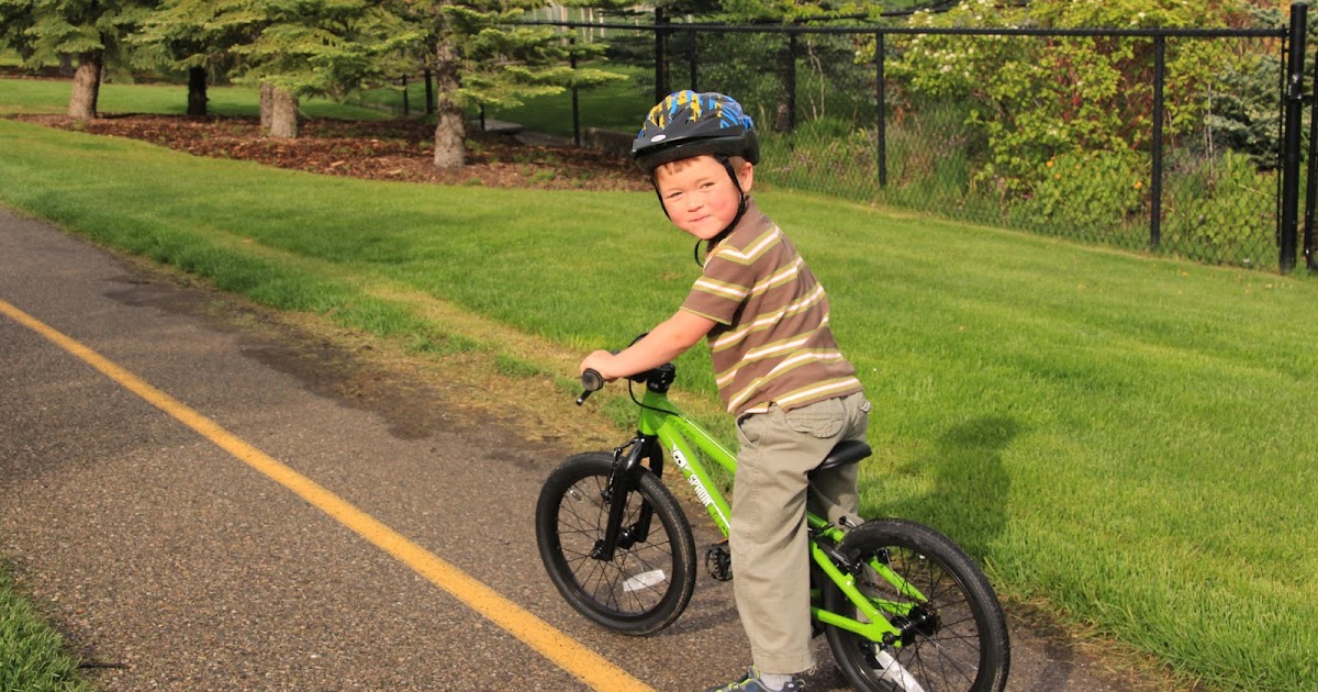 Cykelonlinebutik -Cykel Forretning IMG 5877